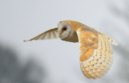 Screen Shot 2016-08-28 at 15.27.29